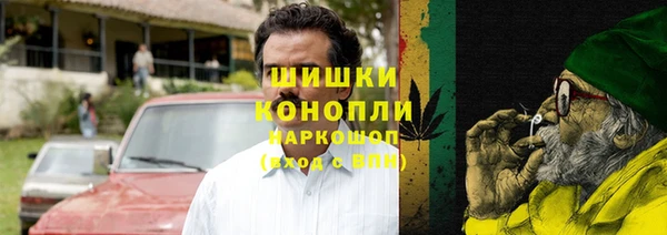 индика Бронницы