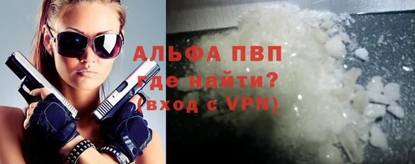 индика Бронницы