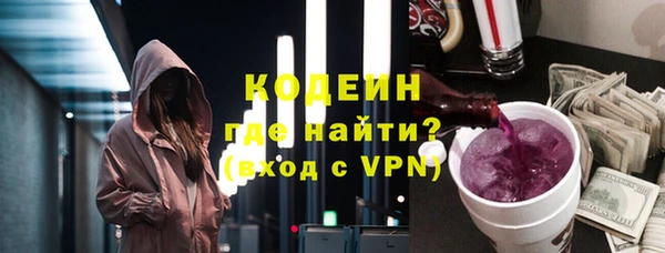 индика Бронницы