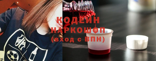 индика Бронницы