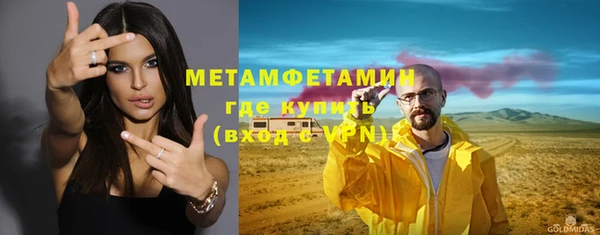 индика Бронницы