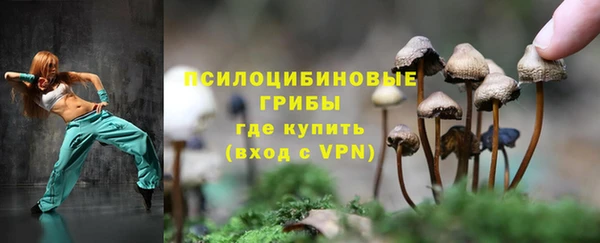 индика Бронницы