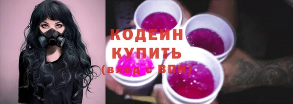 индика Бронницы