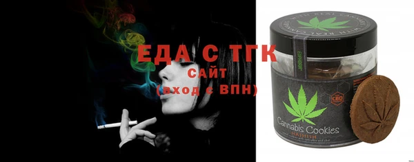 индика Бронницы
