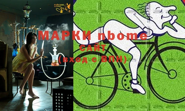 индика Бронницы