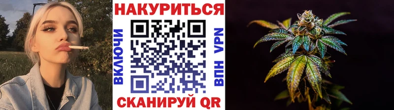 Шишки марихуана планчик  Новочеркасск 